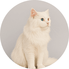 Name