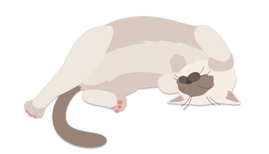 term cat